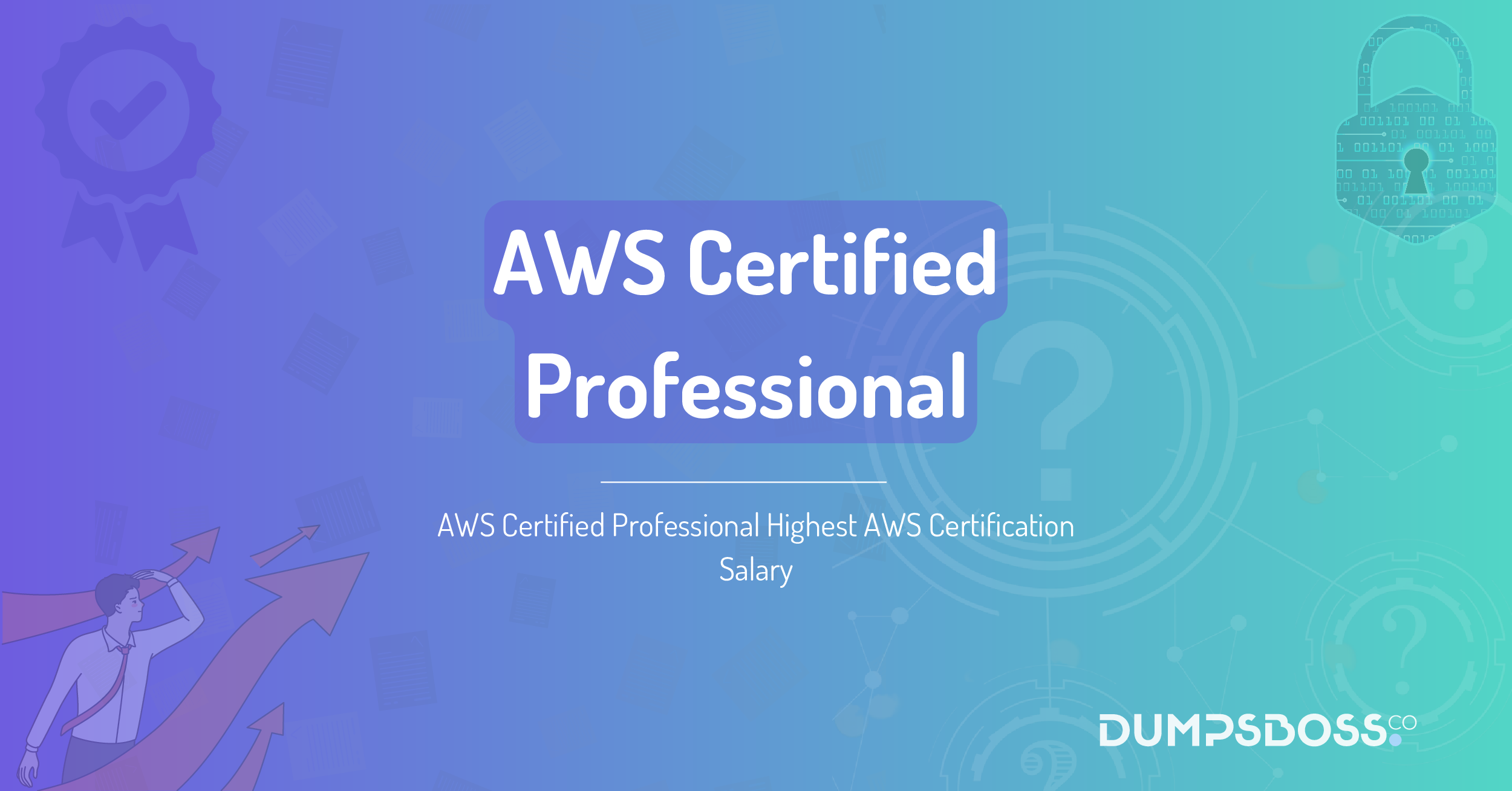 AWS Certified Professional Highest AWS Certification Salary
