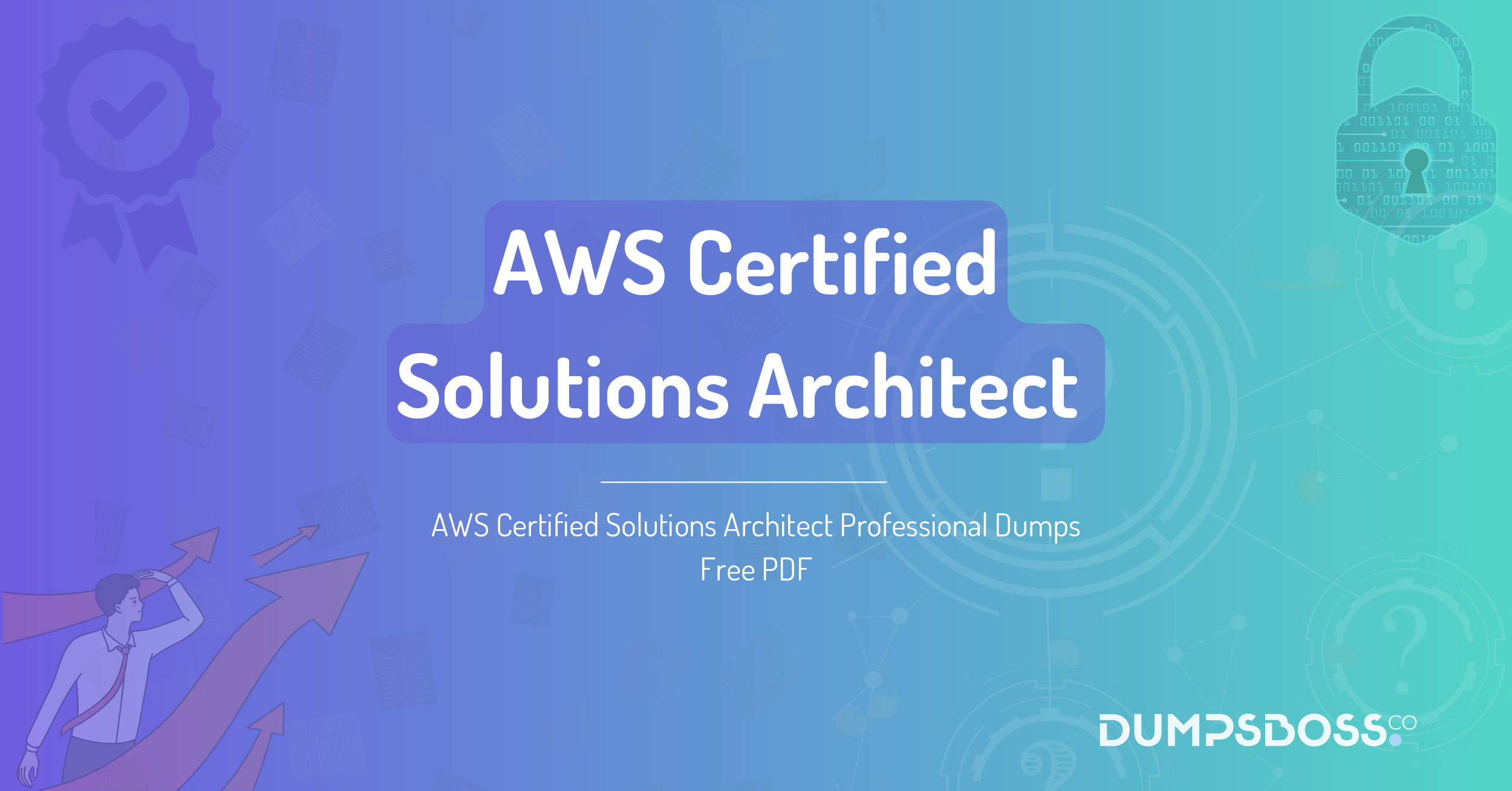 AWS Certified Solutions Architect Professional Dumps Free PDF