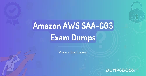 What is a Cloud Engineer