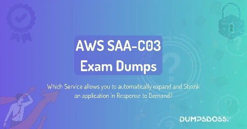 Which Service allows you to automatically expand and Shrink an application in Response to Demand?
