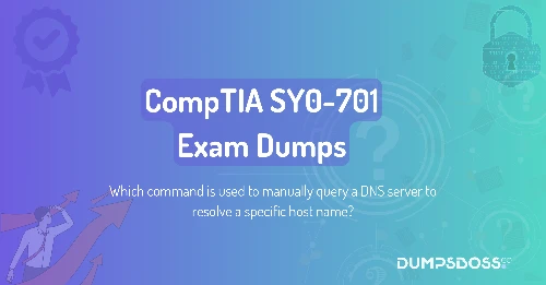 Which command is used to manually query a DNS server to resolve a specific host name?