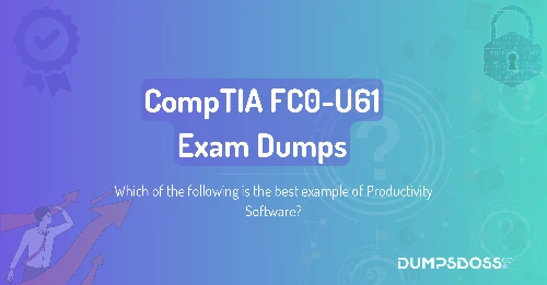 Which of the following is the best example of Productivity Software?