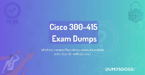 Which two transport Redundancy options are available in the Cisco SD-WAN solutions?
